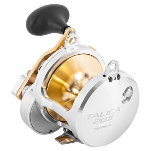 TALICA 20II