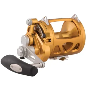 International® 30VISW 2-Speed Conventional Reel, Gold