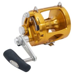 Penn International 70VIS Two Speed Reel - Gold