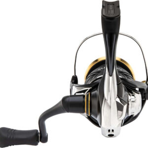 SUSTAIN C5000XG FJ