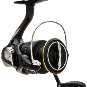 SUSTAIN C3000HG FJ
